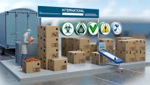 Container ship near cityscape representing global trade success.