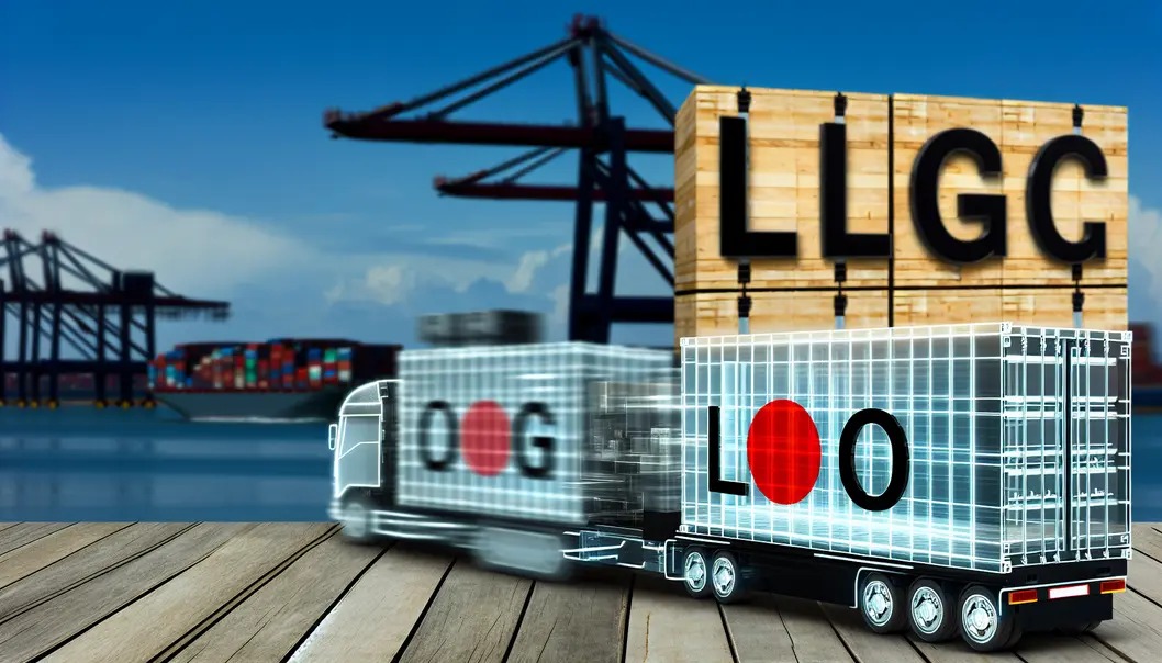 Biểu đồ phân tích thị trường giữa Việt Nam và Nhật Bản.